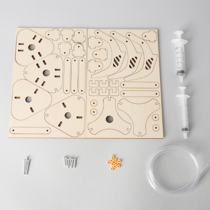 DIY Stem Piston Hydraulic Mech - đánh giá và giá Science Project Kit